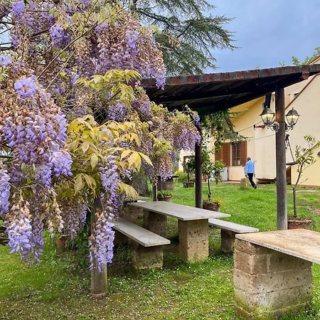 Tuscany Time